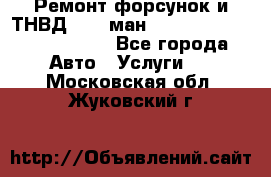 Ремонт форсунок и ТНВД Man (ман) TGA, TGL, TGS, TGM, TGX - Все города Авто » Услуги   . Московская обл.,Жуковский г.